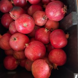 POMEGRANATE / GRANADAS