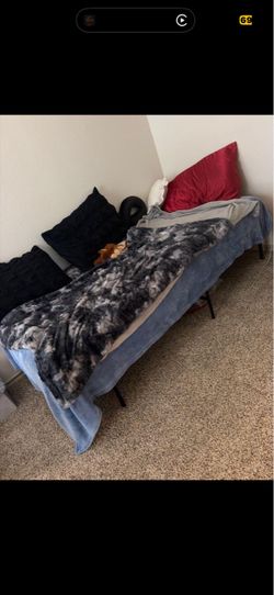 Twin bed and mattress