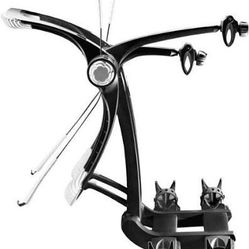 Thule Raceway Platform 