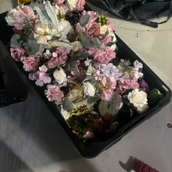 16 Vases And Flowers