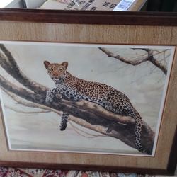 Leopard Pic 35.5w × 30 H