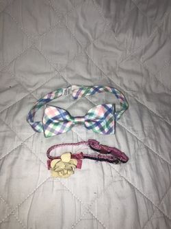 Dog Collar