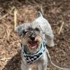 Alex (Miami Area)