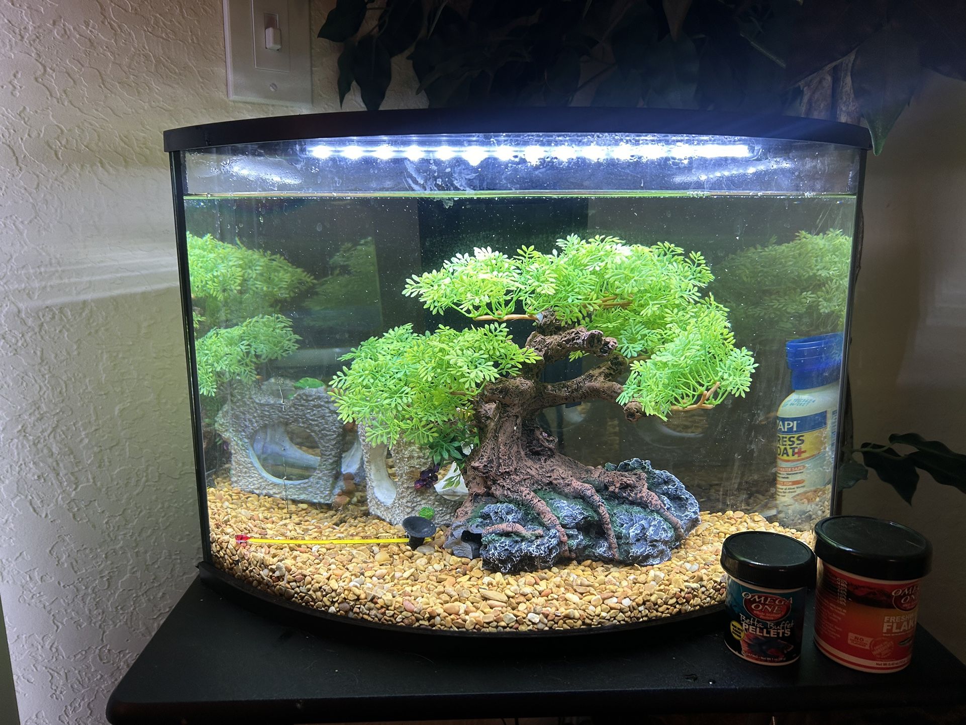 6 Gallon Corner Tank