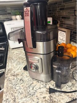 Professional juicer
