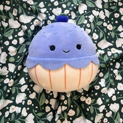 Blueberry cupcake Squishmallow 