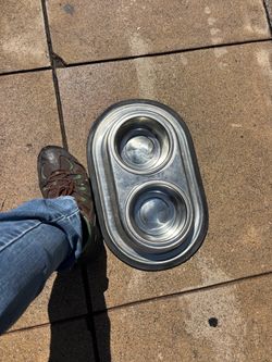 Dog medium size drinking/ eating  bowl