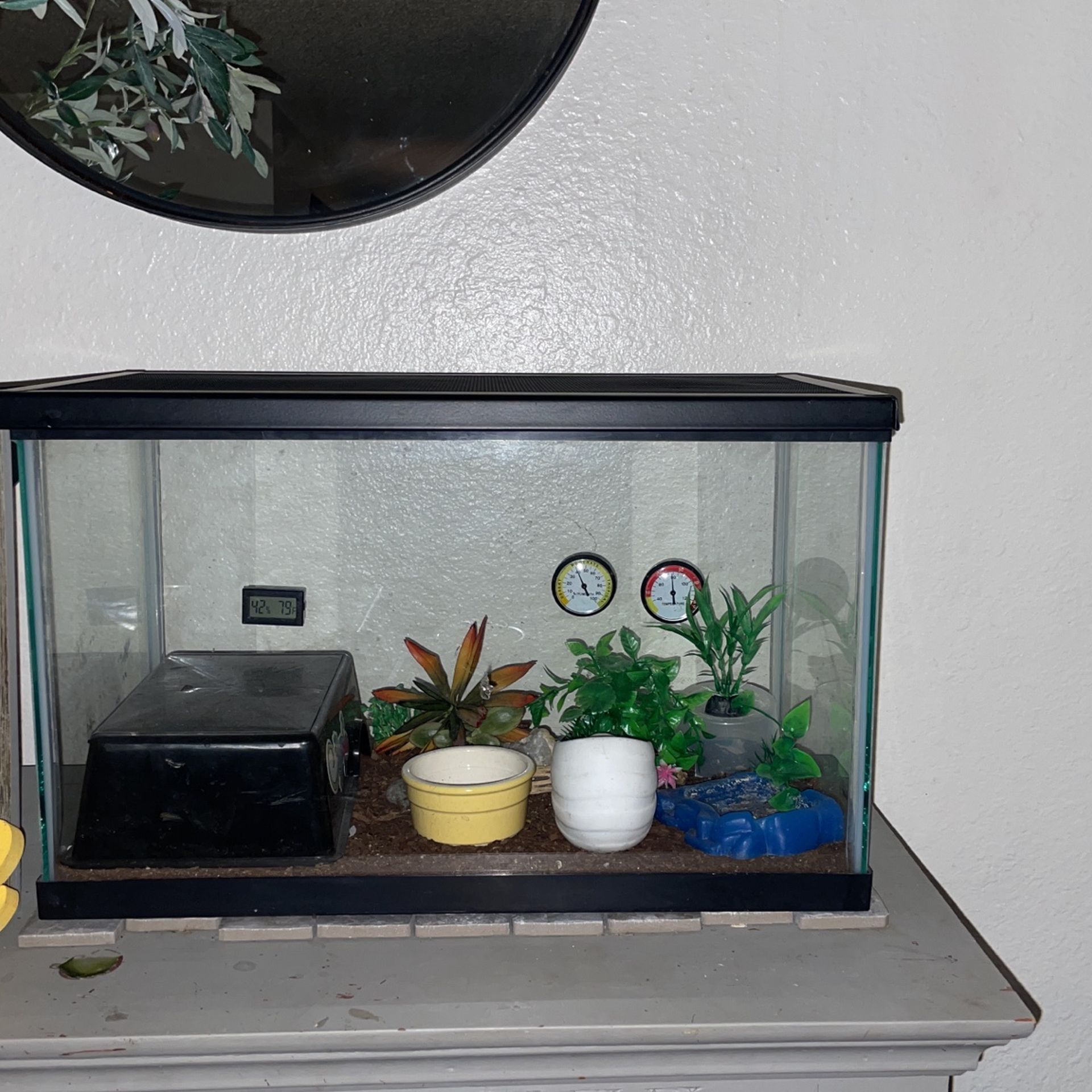 Reptile Tanks