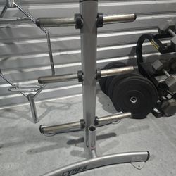 Weight Cybex Weight Tree