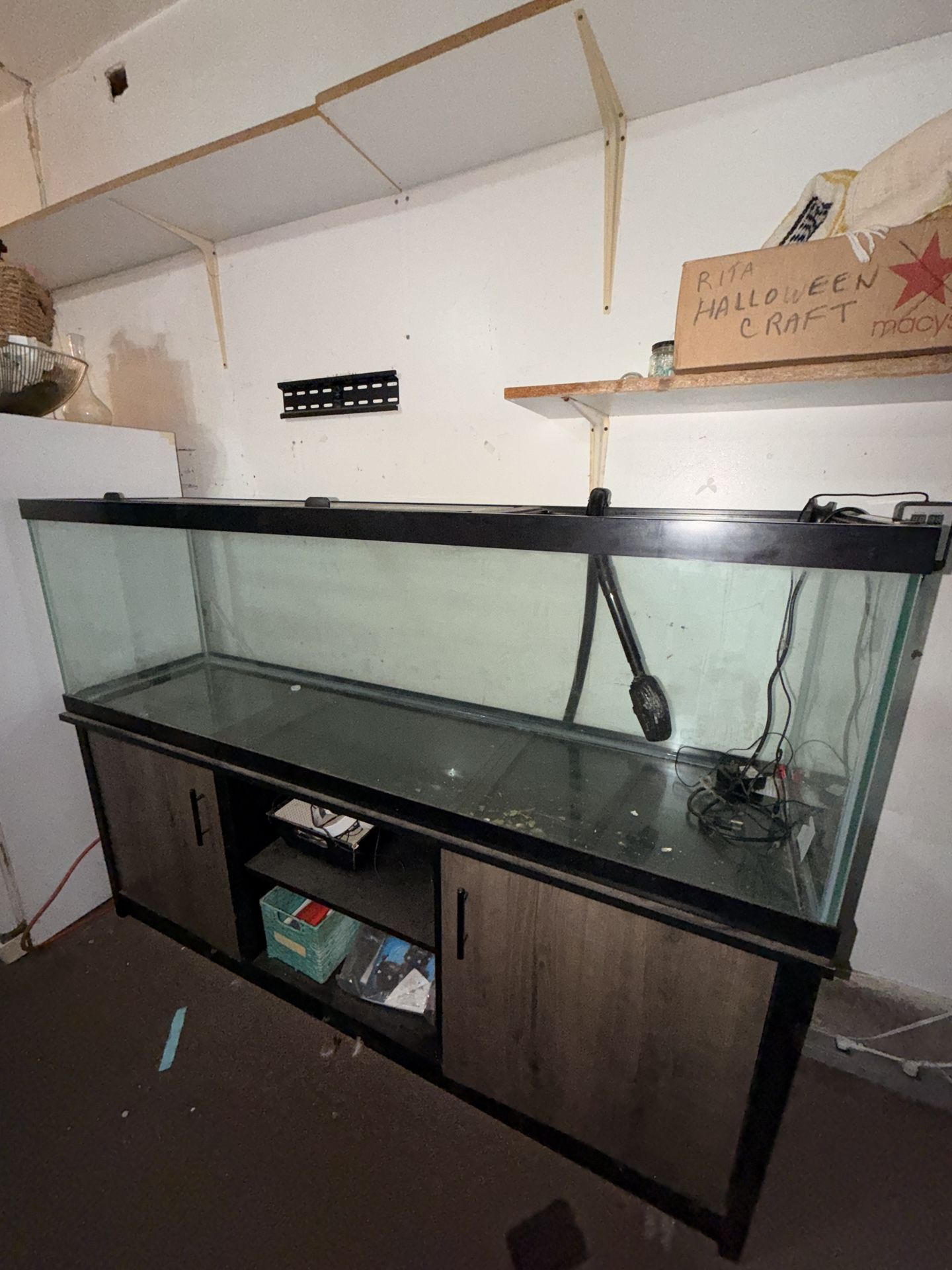 125 Gallon Aquarium