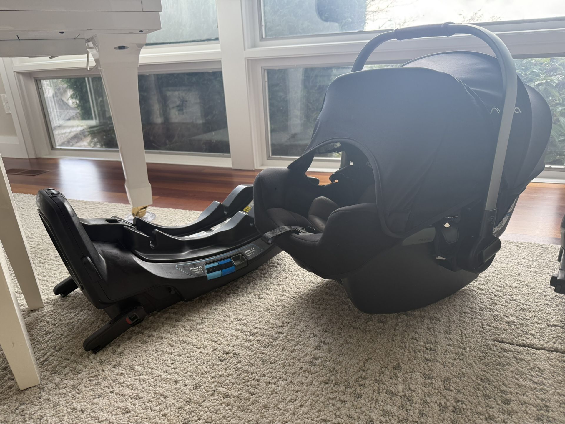 Nuna Pipa Rx Car Seat Baby