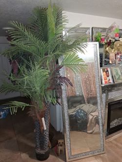 Plam tree with water fall mirror