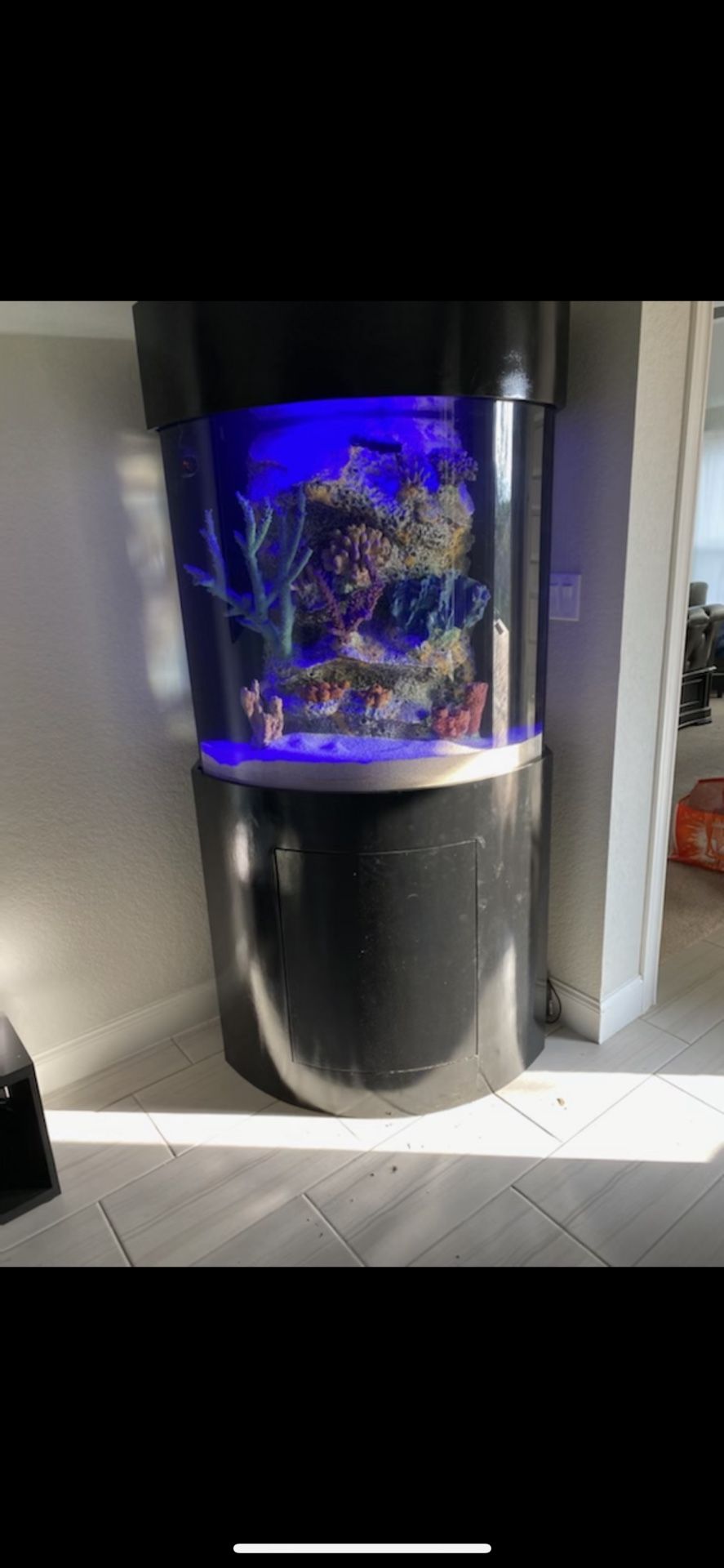 150 Gallon Acrylic Fish Tank