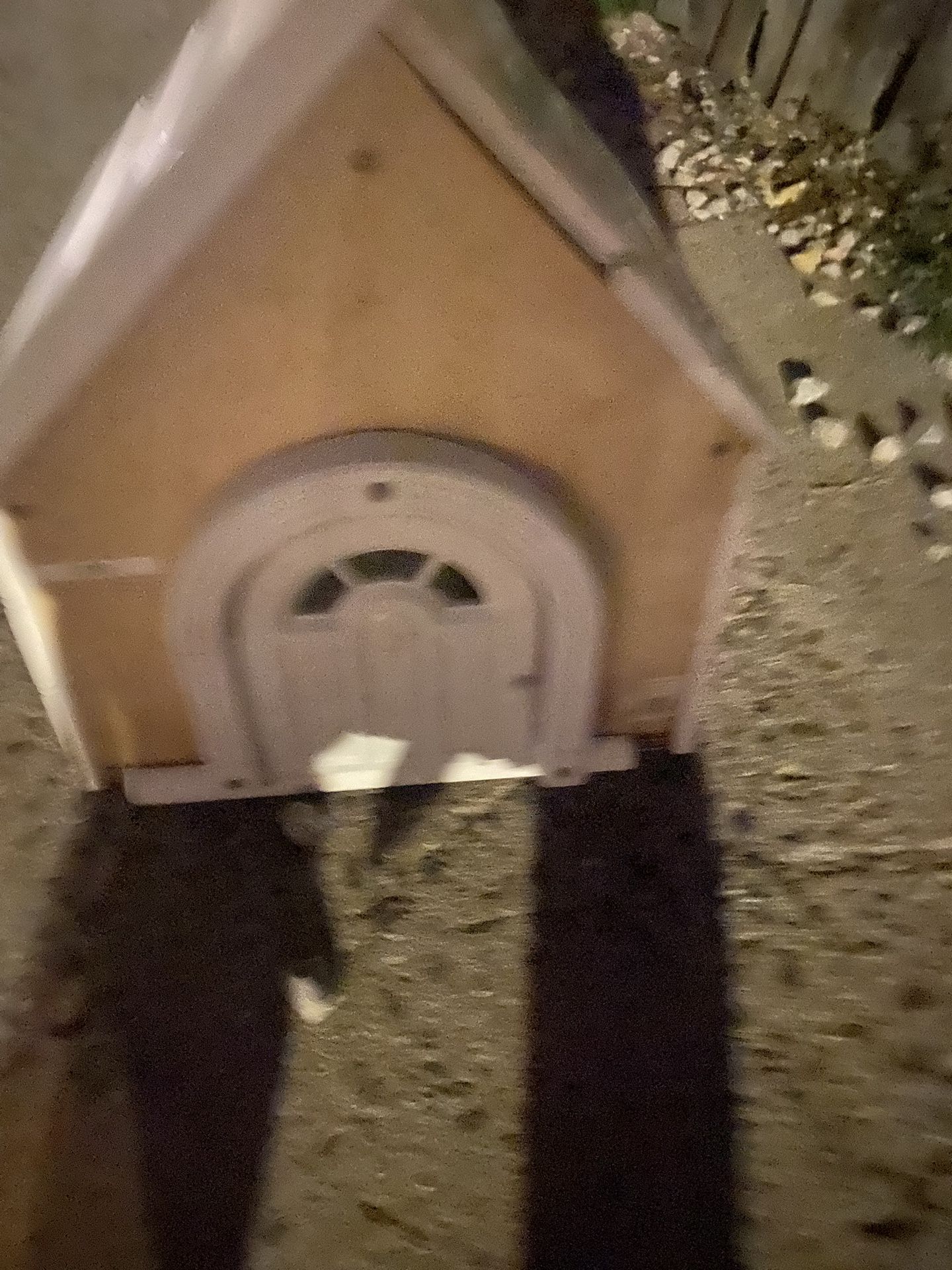 Cat Dog House Very Sturdy