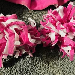 Cheerleader Theme / Props 