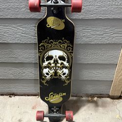Long Board Skateboard 