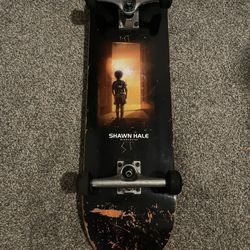 Fully Built Skateboard