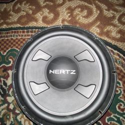 12in Subwoofer 