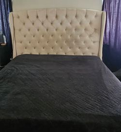 Cal-king bed frame, tufted with nail head trim