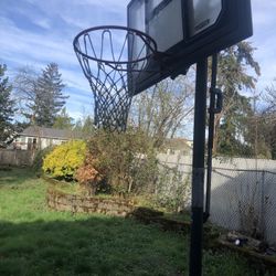 Basketball Ball Hoop 