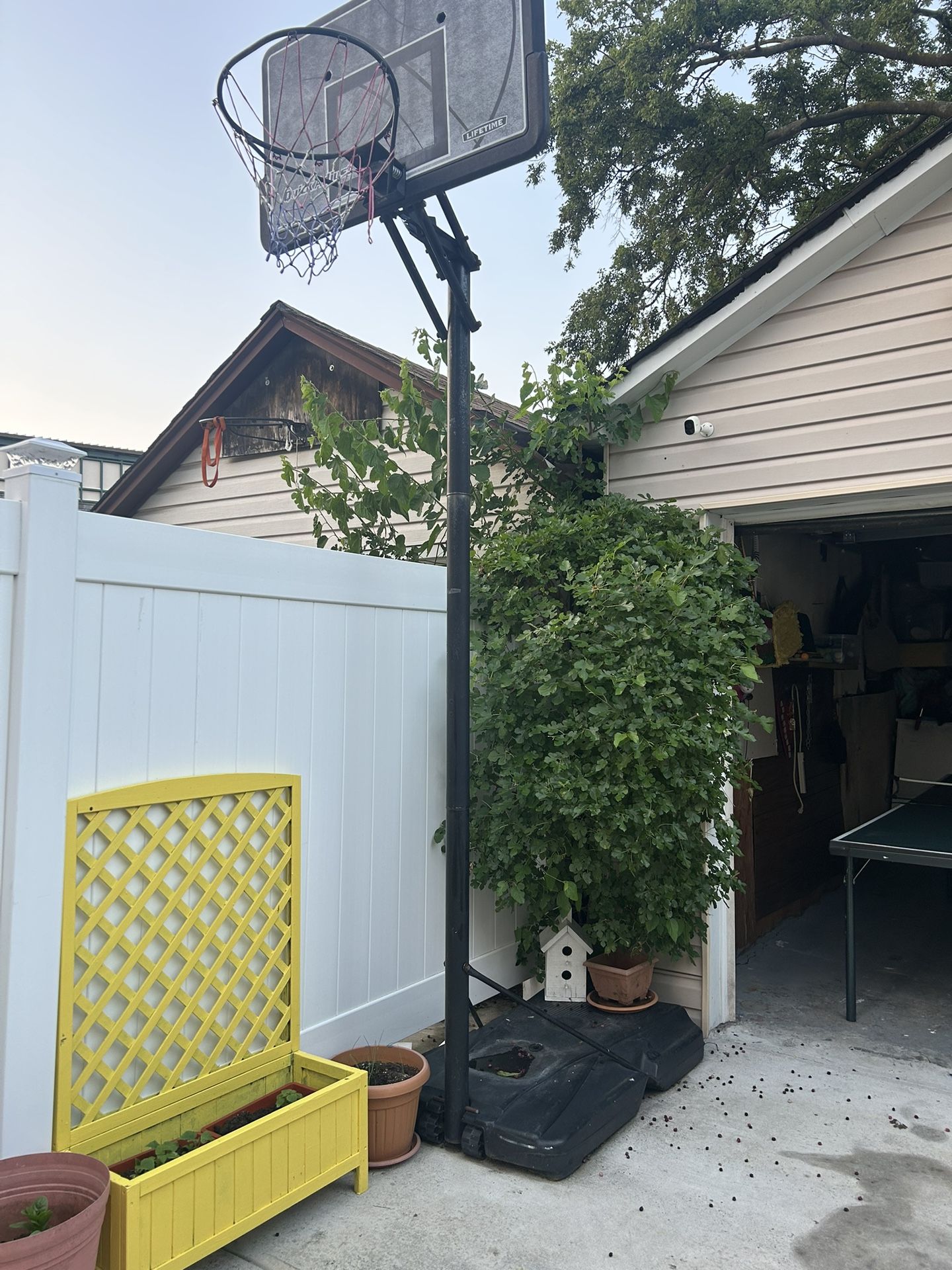 Lifetime Basketball Hoop