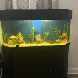 Fish Tank