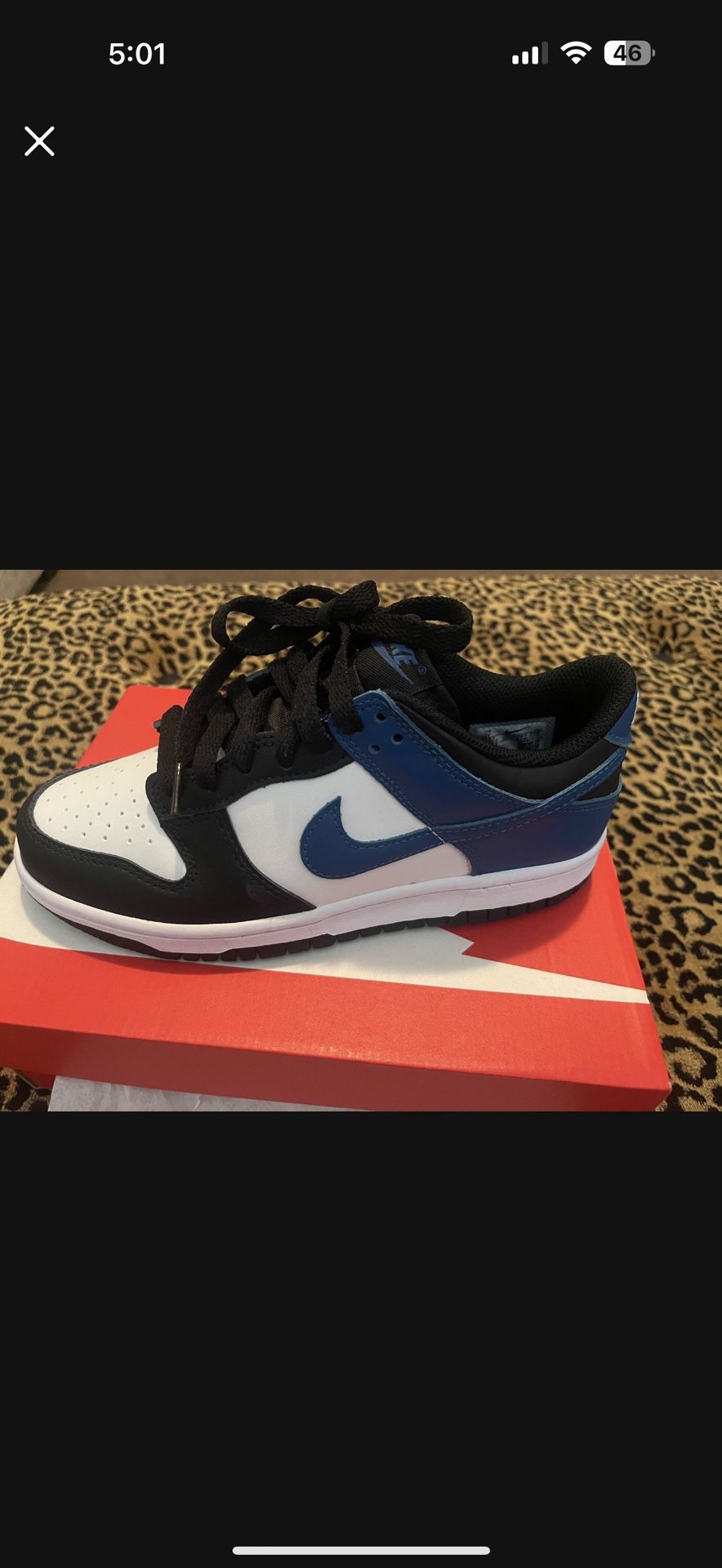 Nike Dunk Size 5 Youth