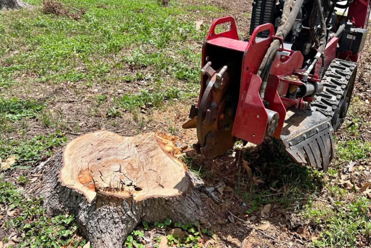 Stump Removal / Stump Grinding / for Sale in San Antonio, TX - OfferUp