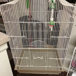 Bird Cage 