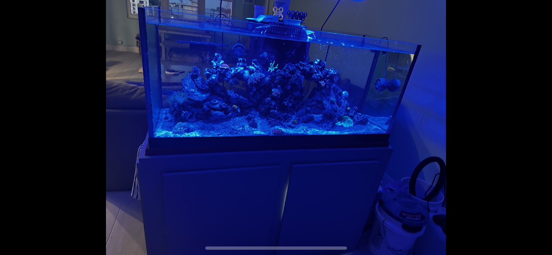 80 Gallon Fish Tank, Custom Stand, Aqua Illumination, Nice Sump