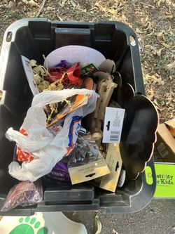 Halloween Decor/craft Pieces 