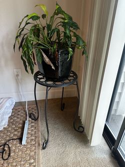 Plant and metal plant stand