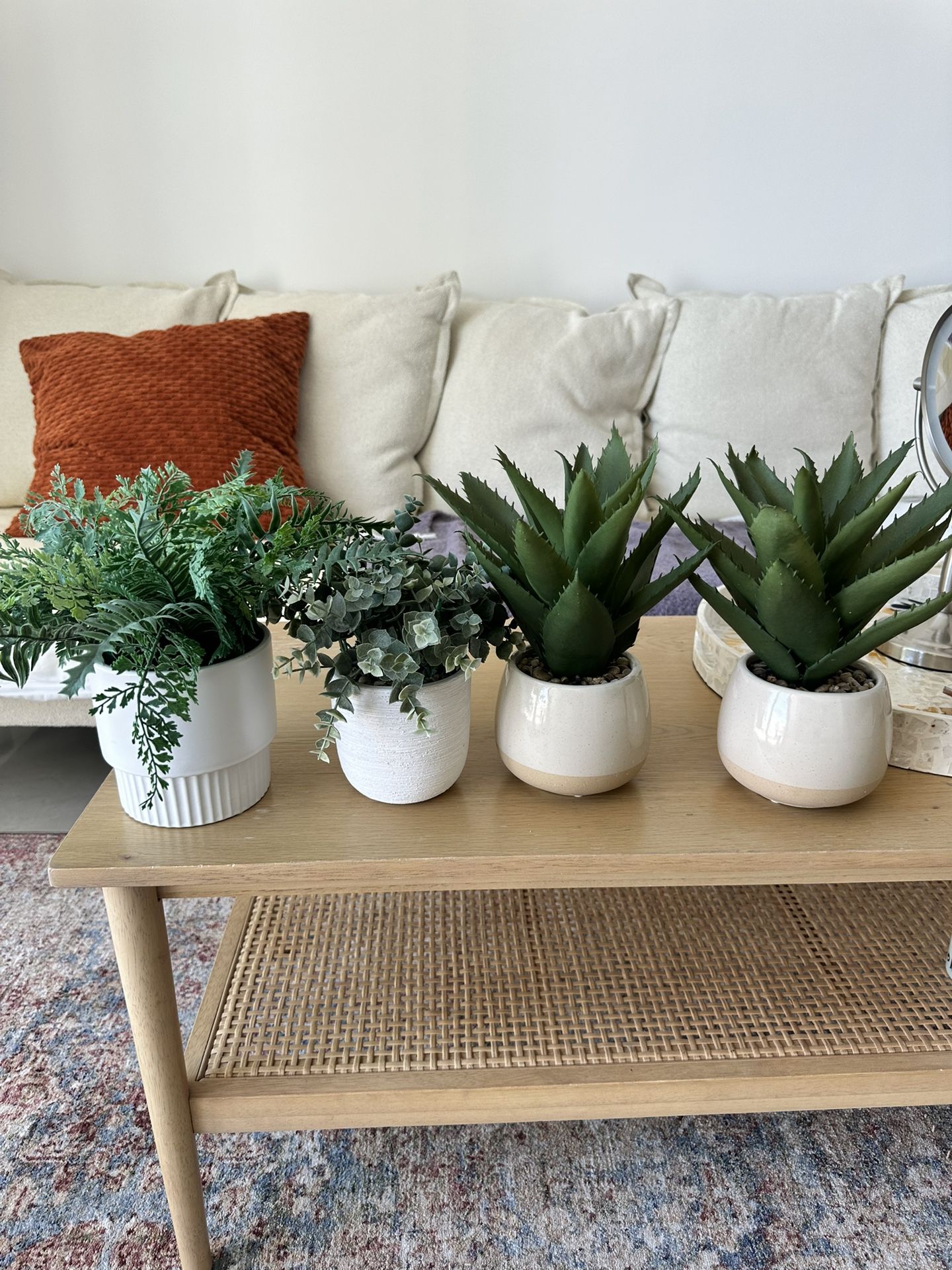 Fake House Plants