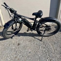 Ecotric Ebike