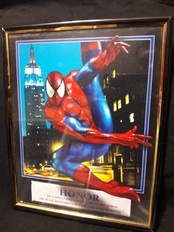 Spider man frame collectible $10