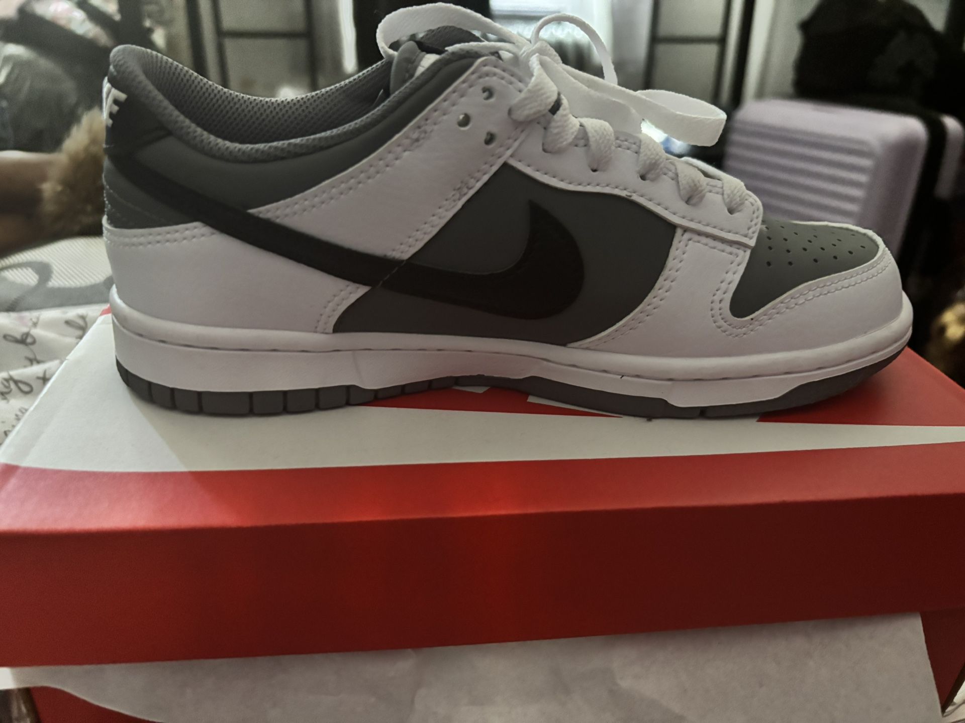 Nike low Dunks GS