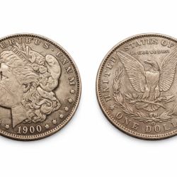 1900 New Orleans Mint Morgan Dollar