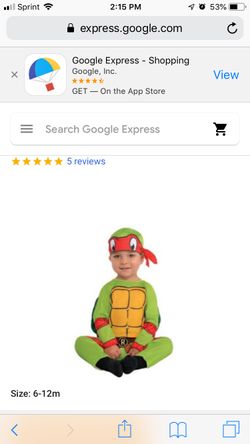 Raphael Costume