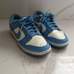 Nike Dunks Blue