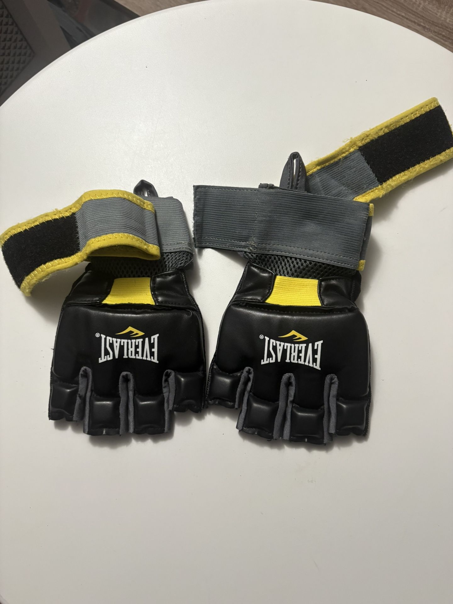 Everlast Traing Kickboxing Gloves