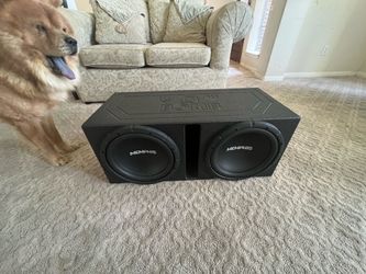 dual 12” subwoofer and box