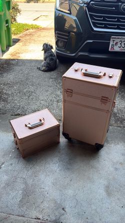 Rolling train case