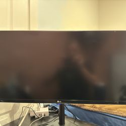 LG Monitor 