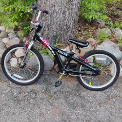 Schwinn 20-in Bike