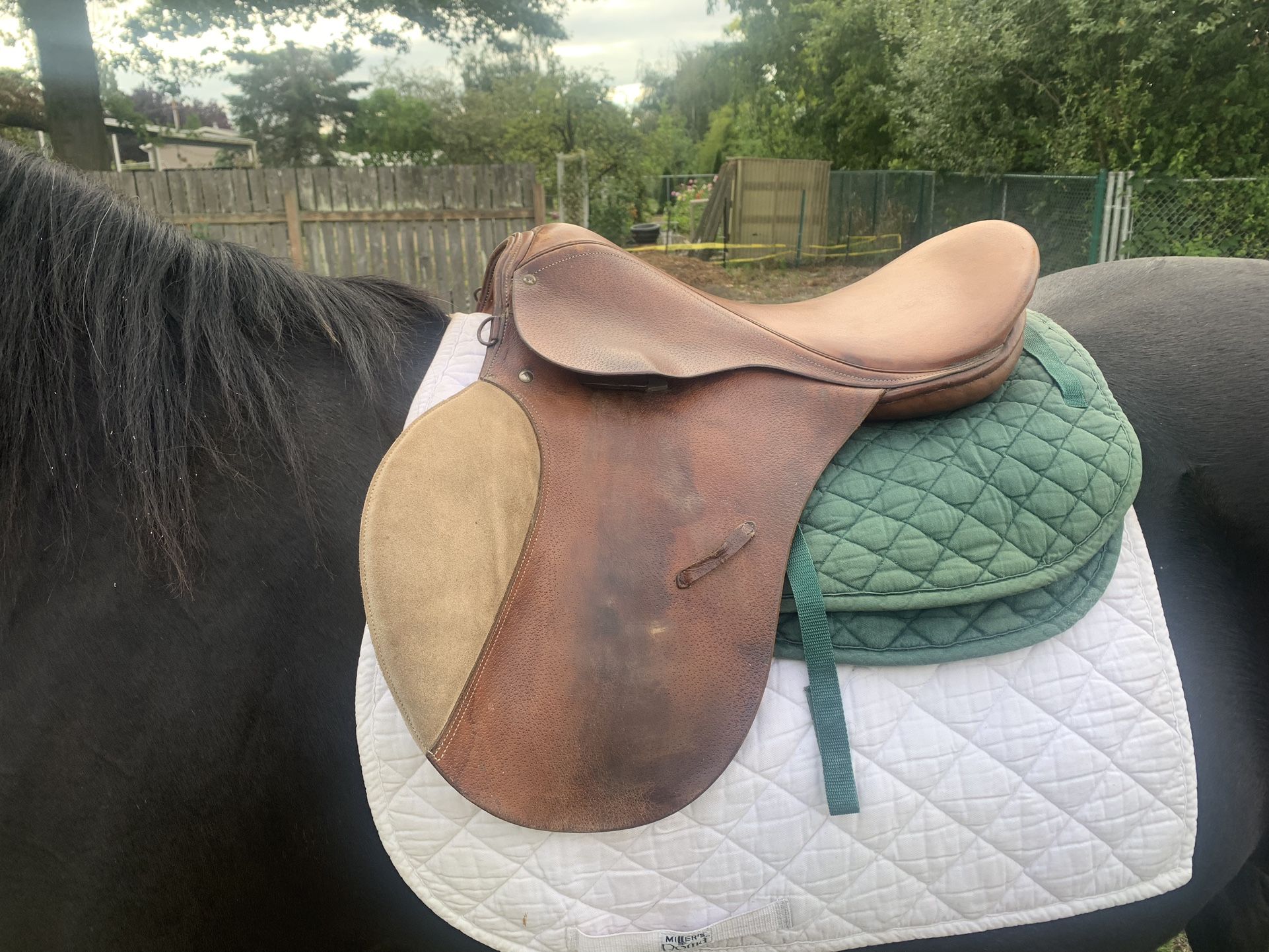 Cortina 18” English Saddle