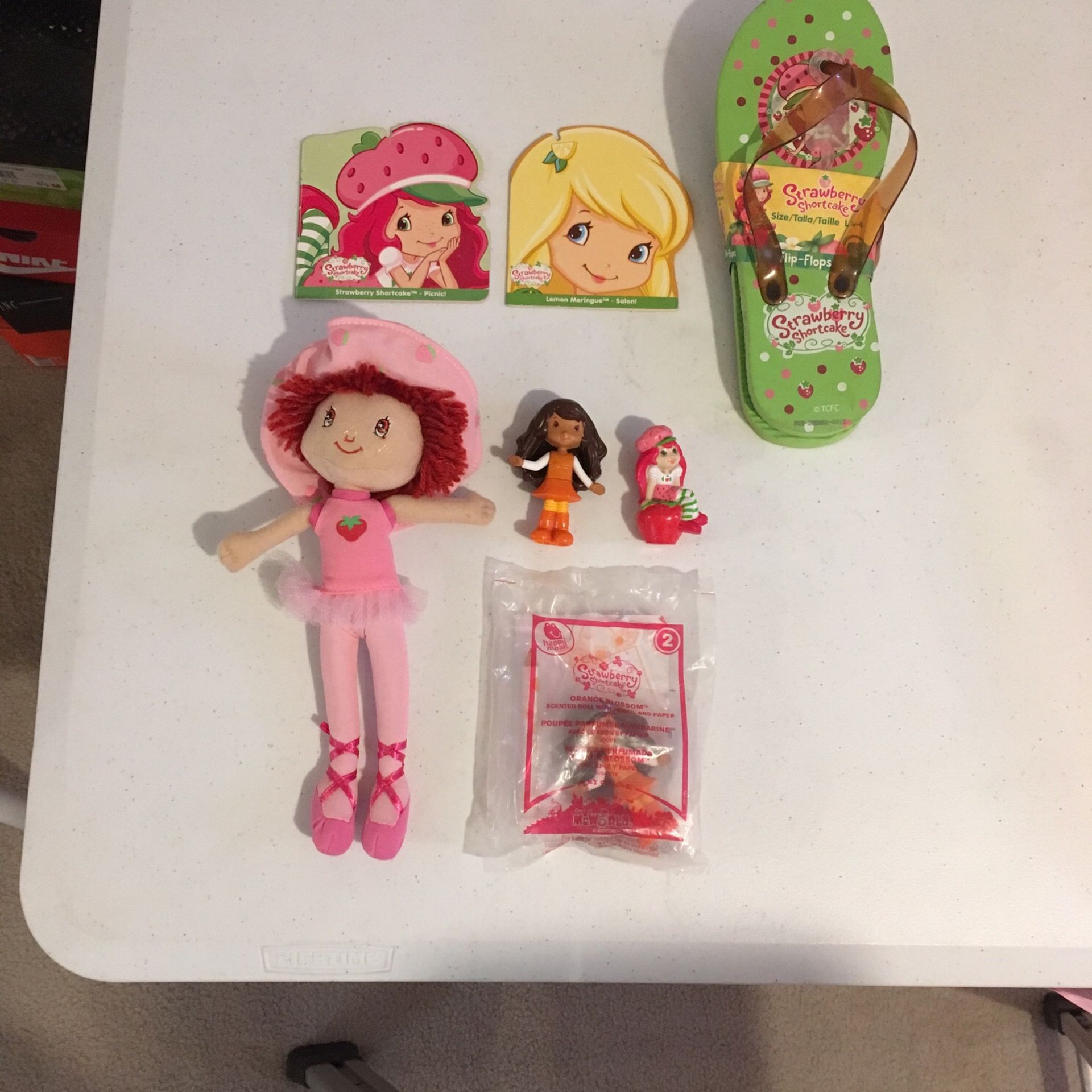Strawberry Shortcake Doll, Figurines, Booklets, & Girls Flip Flops. Set of 7. 2009-2010
