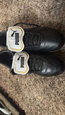 Sg Puma Cleats (brand New)