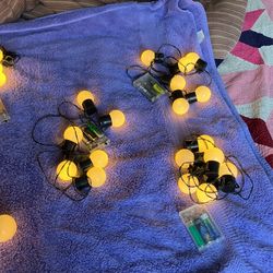 Outdoor Indoor Decorating String Lights Bulbs Work On 3 AAA Batteries Some Of 6 Bulbs $ 5. Some Of 10 Bulbs $ 8 Cool Light Bulbs Even Use Camping RV