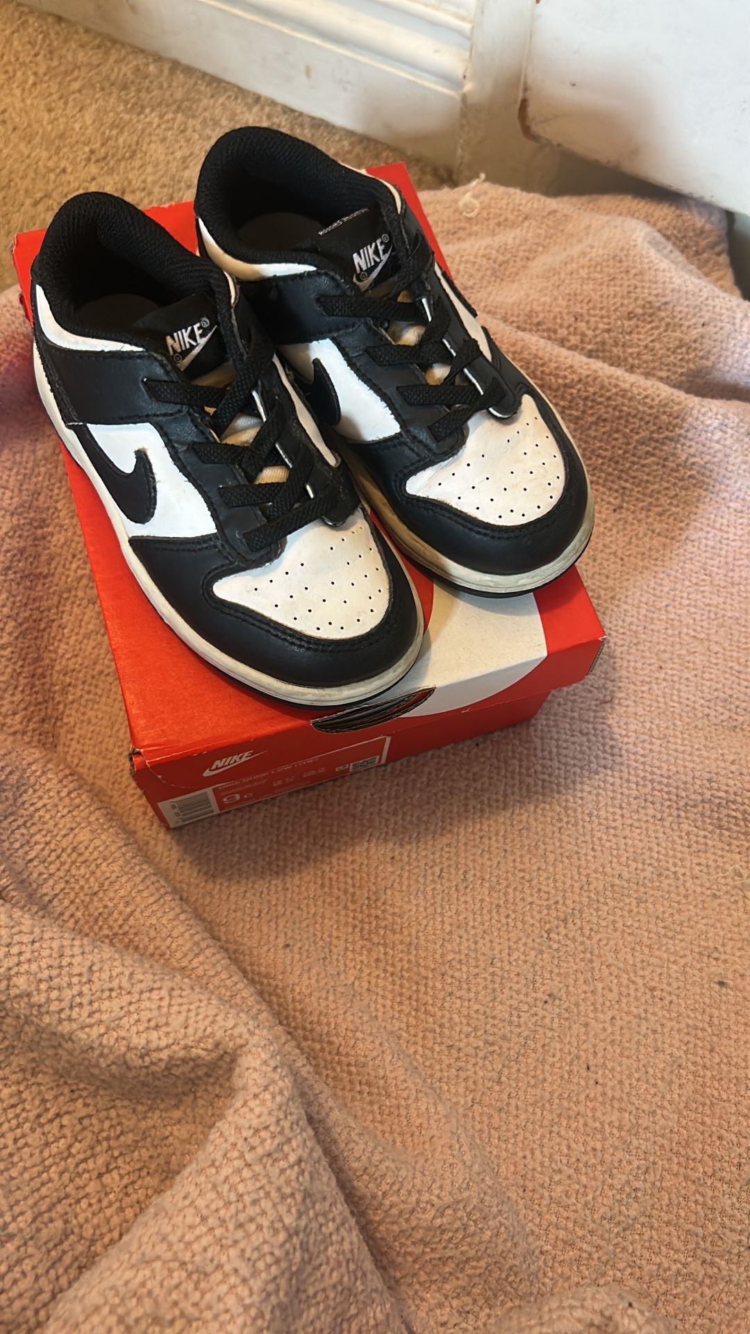 Toddler Nike Dunks