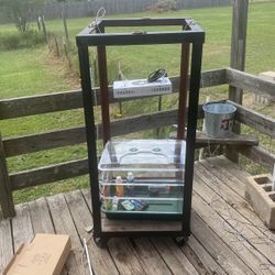 Ready Set Grow  Best Strawberrys Ever